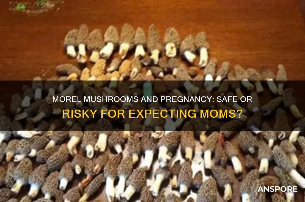 are morel mushrooms safe to eat during pregnancy
