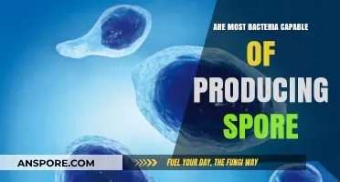 Can Most Bacteria Form Spores? Unveiling Microbial Survival Strategies