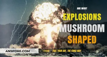 Why Do Explosions Have Mushroom Clouds?