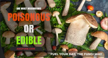 Edible or Poisonous: Unveiling the Truth About Most Mushrooms