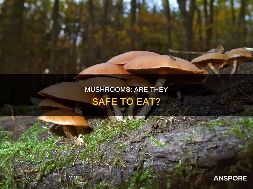 are most mushrooms save