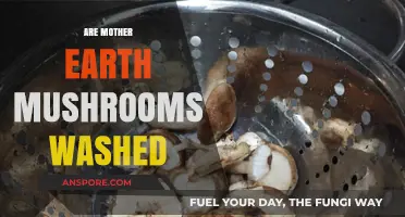 Mother Earth Mushrooms: Pre-Washed or Not?