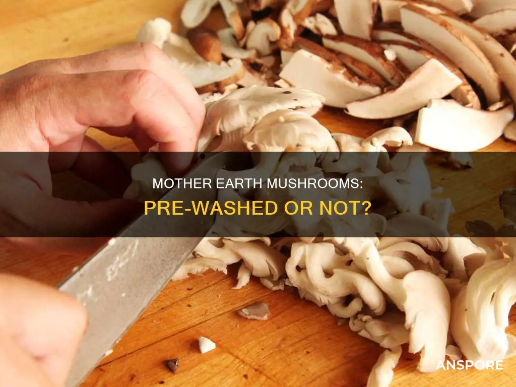 are mother earth mushrooms washed