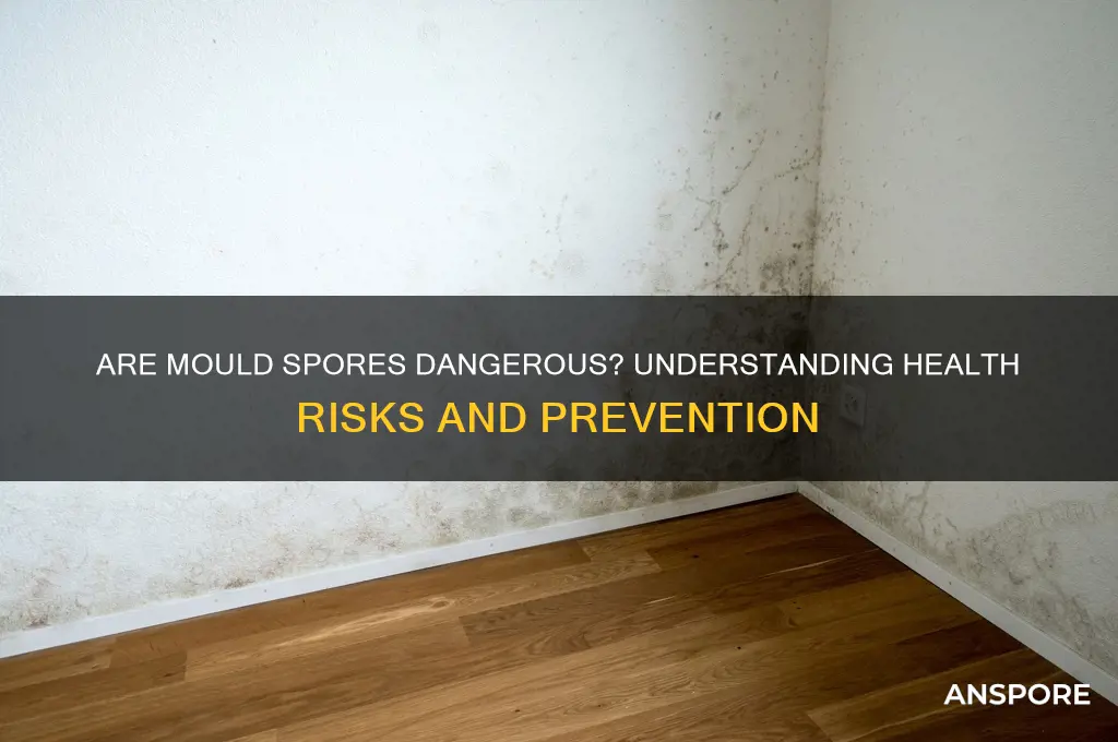 are mould spores dangerous
