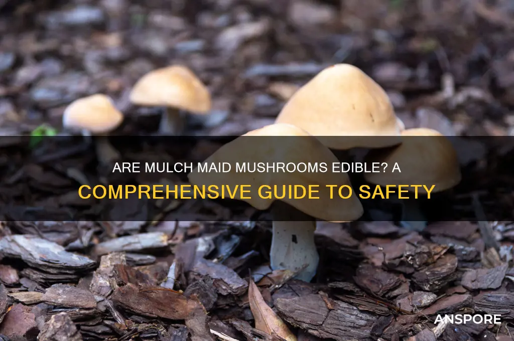 are mulch maid mushroom edible