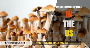 Are Mushroom Spores Legal in the US? Exploring the Legal Landscape