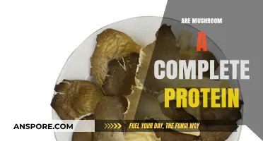 Mushrooms: Nature's Complete Protein Source