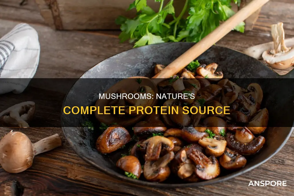 are mushroom a complete protein