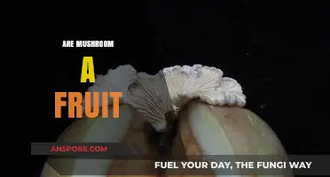 Mushrooms: Fruits or Fungi?