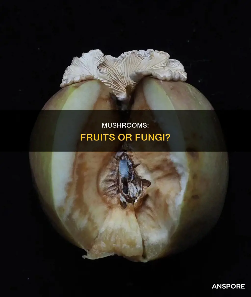 are mushroom a fruit