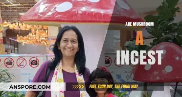 Mushrooms: Healthy or Harmful?