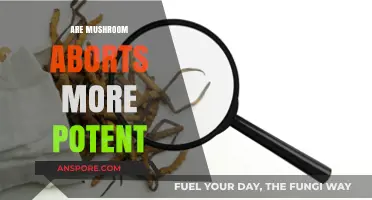 Mushroom Aborts: Are They More Potent?