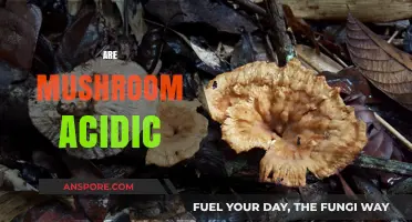 Mushroom Mystery: Acidic or Alkaline?