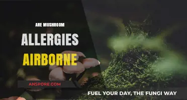 Mushroom Allergies: Airborne Risk or Safe to Inhale?