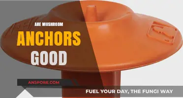 Are Mushroom Anchors Reliable for Secure Boat Mooring?