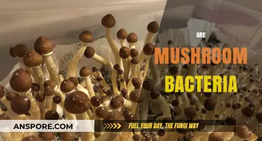 Mushrooms: Bacteria or Not?