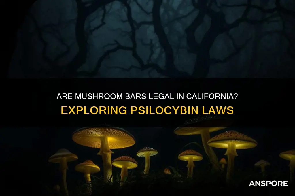 are mushroom bars legal in california