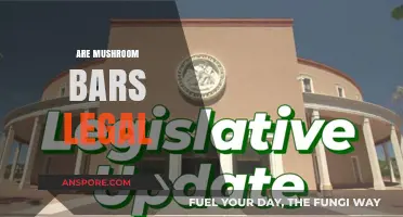 Are Mushroom Bars Legal? Exploring Psilocybin's Legal Status and Trends