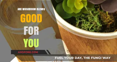 Mushroom Blends: Unlocking Health Benefits and Nutritional Power for You