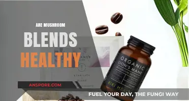Mushroom Blends: Superfood or Super-Hype?