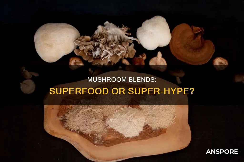 are mushroom blends healthy