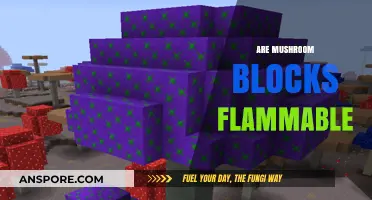 Mushroom Blocks: Are They Flammable?
