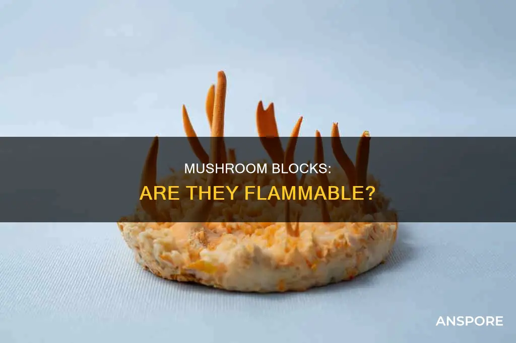 are mushroom blocks flammable