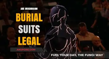 Are Mushroom Burial Suits Legal? Exploring Eco-Friendly Funeral Options