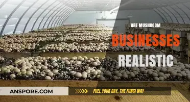 Mushroom Businesses: Sustainable or Just a Fad?