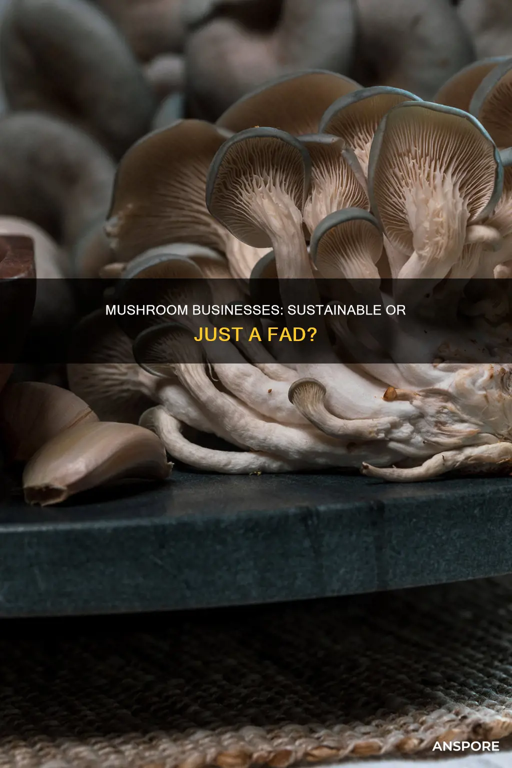 are mushroom businesses realistic