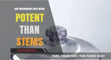 Mushroom Caps vs. Stems: Unveiling Potency Differences and Culinary Uses