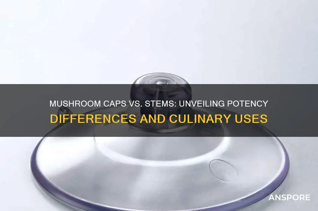 are mushroom caps more potent than stems