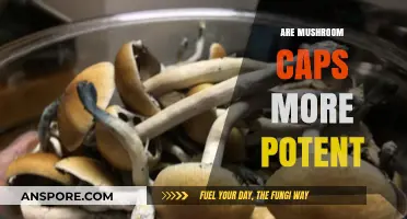 Mushroom Caps: A Potent Powerhouse?