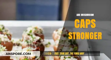 Mushroom Caps: Unlocking Nature's Strongest Secrets