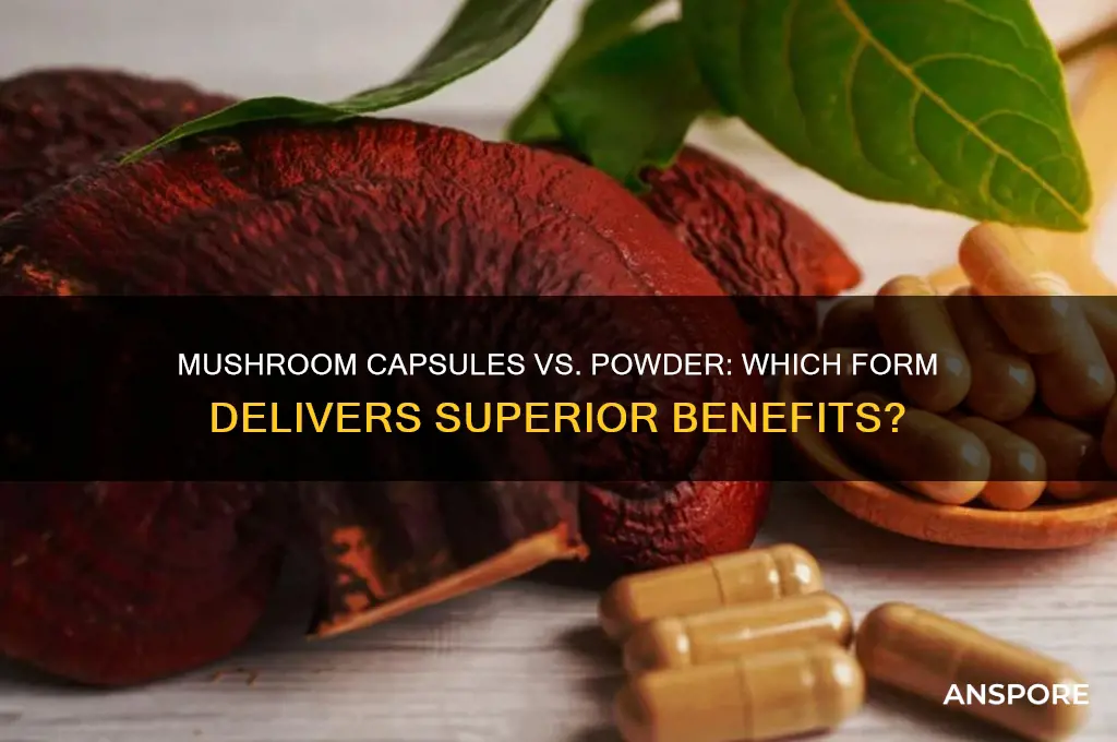 are mushroom capsules or powder better