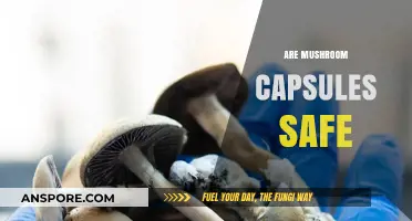 Mushroom Capsules: Safe Superfood or Health Risk?