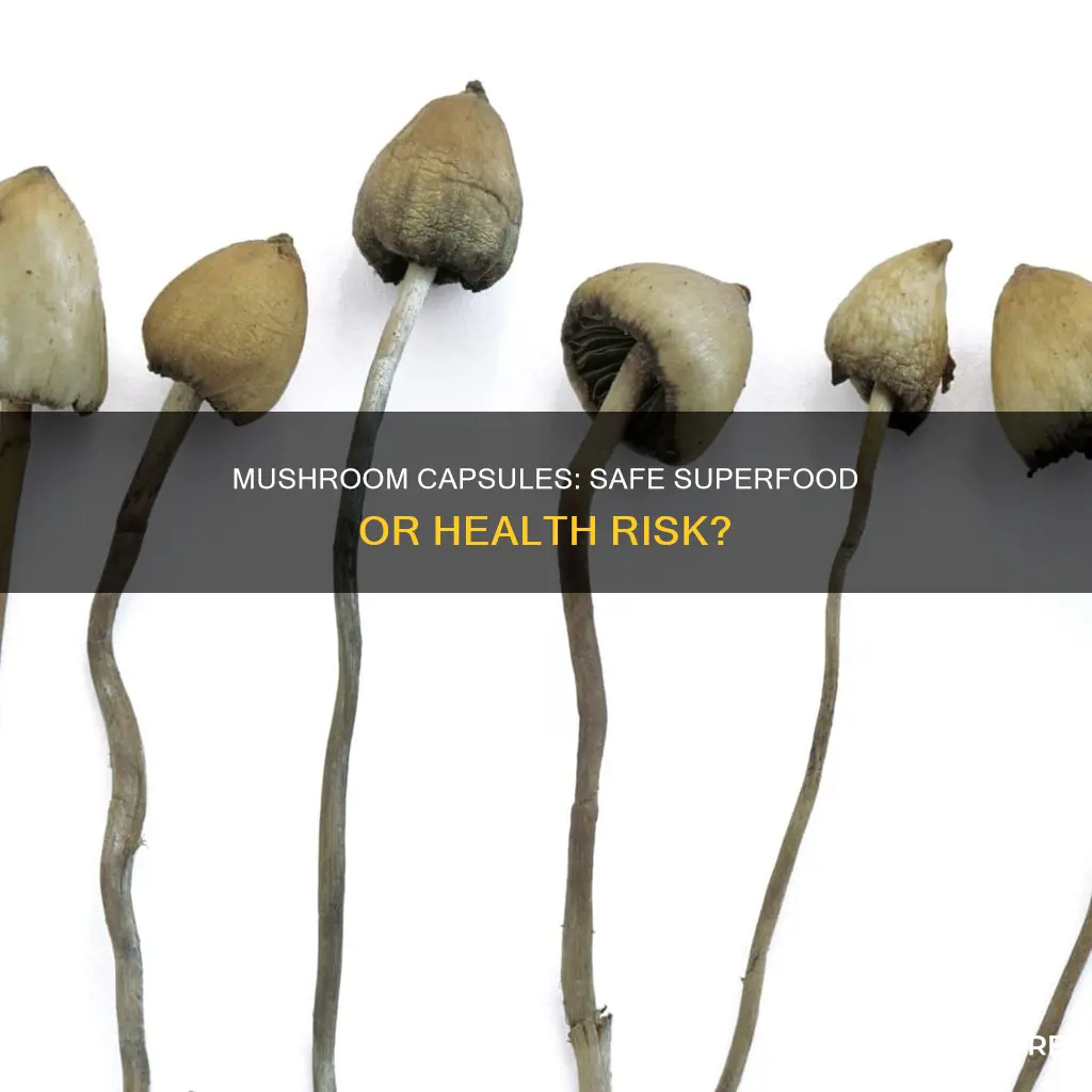 are mushroom capsules safe