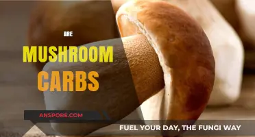 Mushroom Carb Content: What You Need to Know