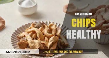 Mushroom Chips: Healthy Snack or Fungus Among Us?