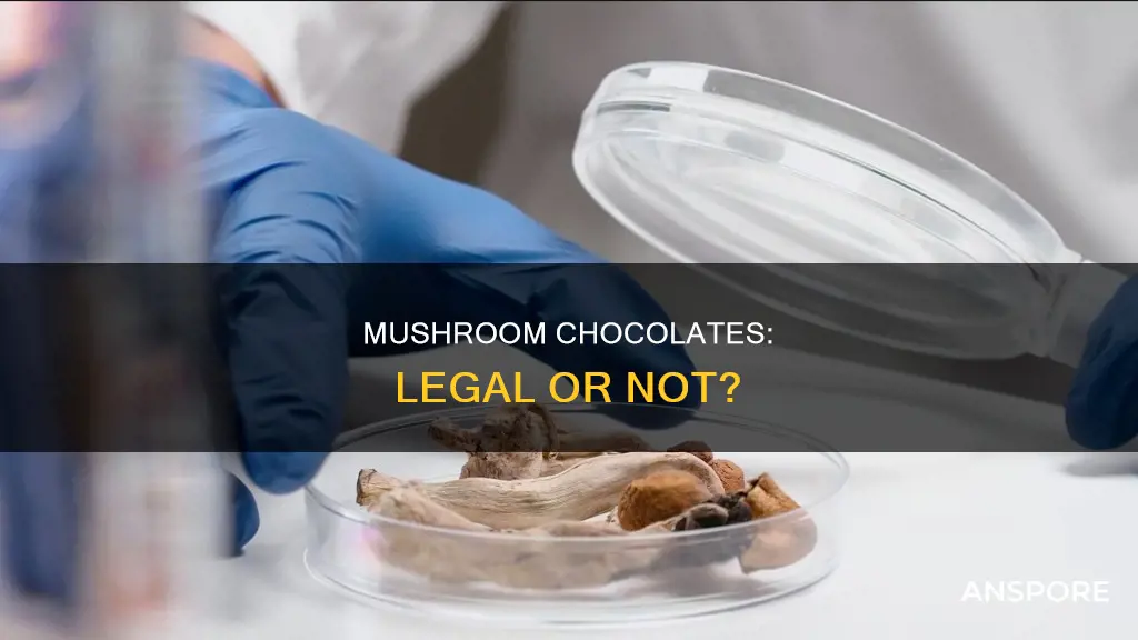 are mushroom chocolates illegal
