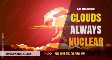 Mushroom Clouds: Nuclear Explosions or Not?