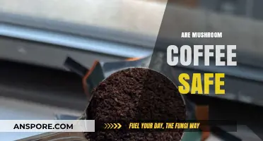 Mushroom Coffee: Safe Superfood or Health Risk?