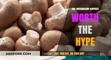 Mushroom Coffee Craze: Unveiling the Truth Behind the Buzz