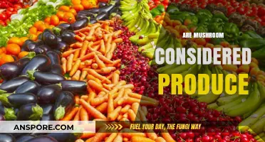 Mushrooms: Are They Vegetables or Something Else?