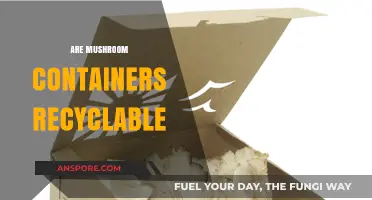 Mushroom Containers: Are They Recyclable?