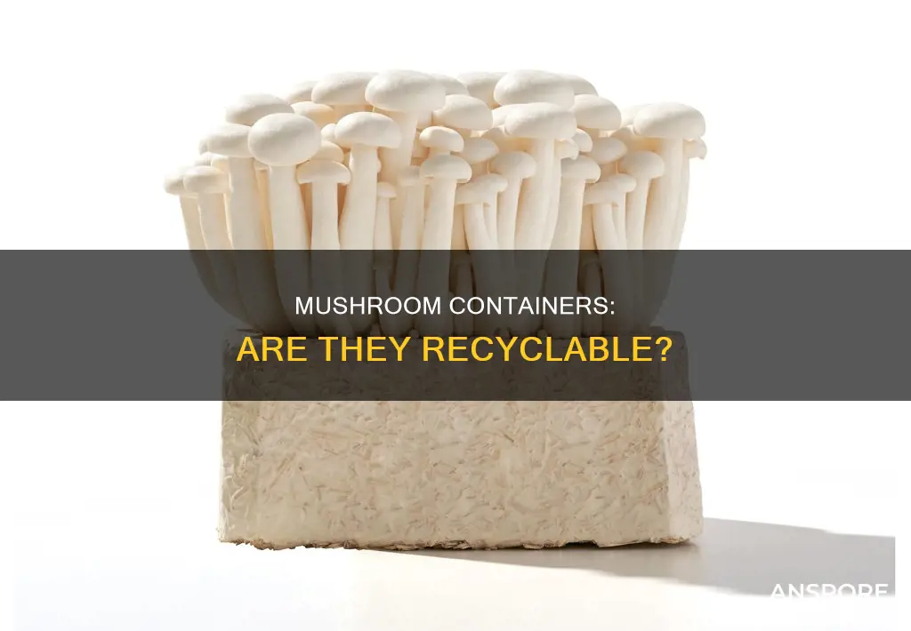 are mushroom containers recyclable