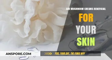 Mushroom Creams: Unlocking Skin Benefits and Beauty Secrets