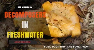 Mushroom Decomposition: Freshwater's Unseen Processors
