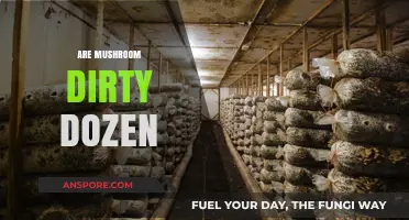 Mushroom Dirty Dozen: What You Need to Know