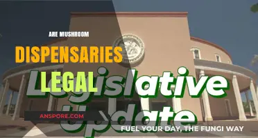 Are Mushroom Dispensaries Legal? Exploring Psilocybin's Legal Landscape